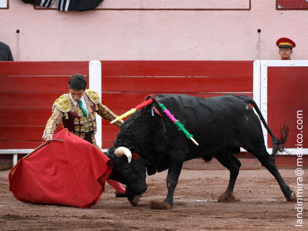 Calibrando al ejemplar