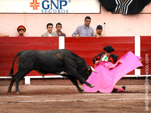 Ver�nica rodilla en tierra