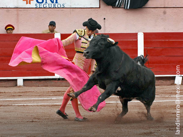 Chac�n se abre de capa