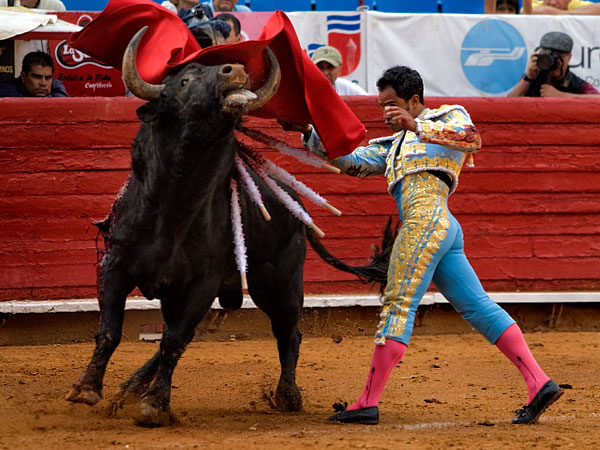 Bol�var , valor y entrega