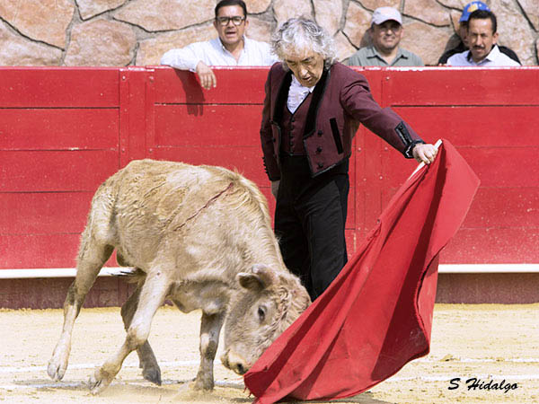 Ejemplar afici�n de Luis Marco