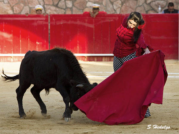 Sentimiento de torera
