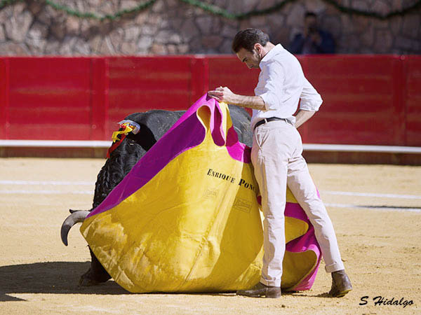 Enrique, en maestro
