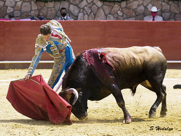 Una faena de Sald�var