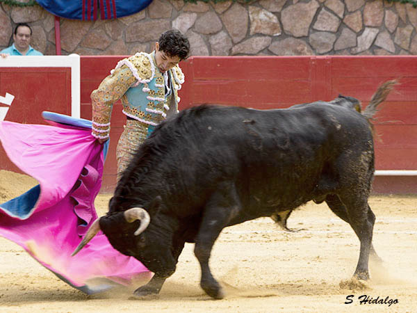 Triunfador en ciernes