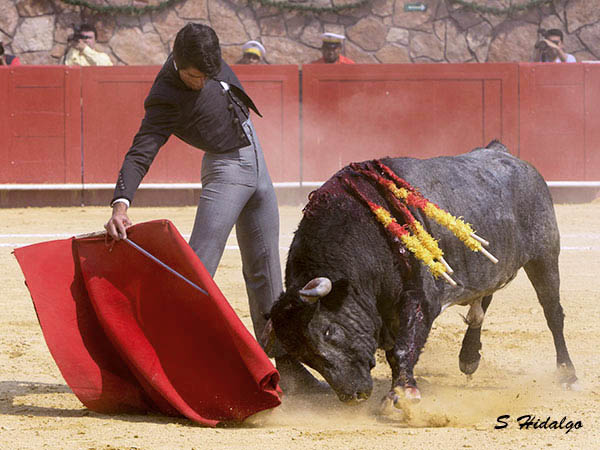 Un cl�sico contempor�neo