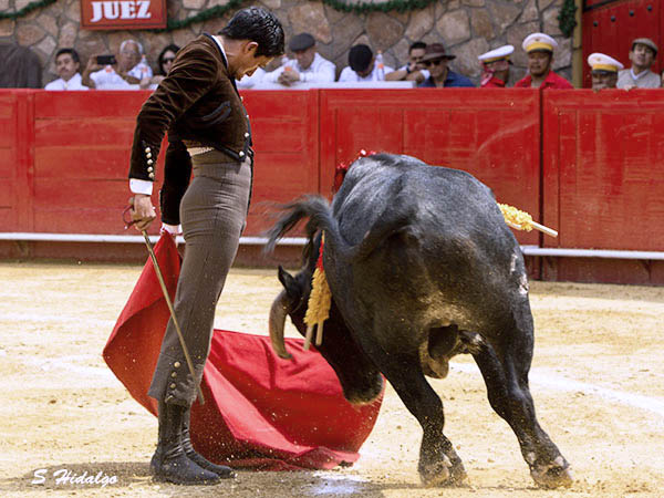 Filigranas de Sergio