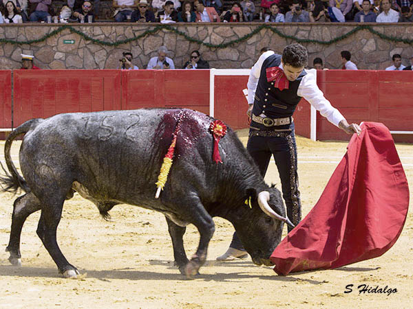 Brandon, lleg� desde Tlaxcala