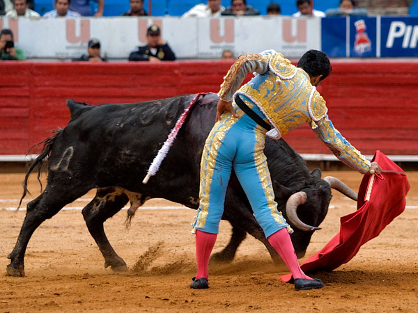 Quebrando la cintura