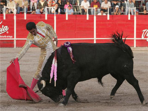 Bien estuvo Ignacio Garibay