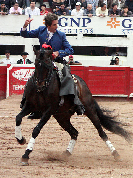 Caballo y caballero
