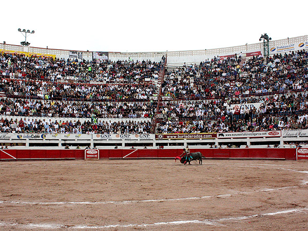 Estupenda entrada en la Monumental