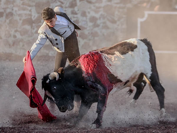 La codicia del berrendo