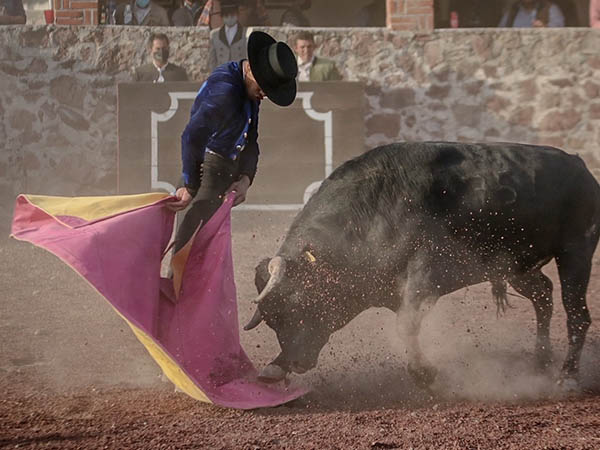 La media de Dinast�a