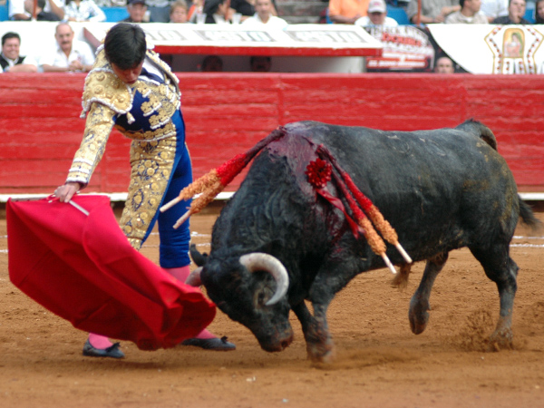 Ferm�n Rivera no se pudo ver hoy