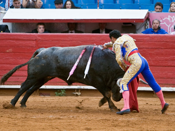Otra vista de la estocada (S.H)