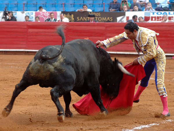 Buena estocada (T.A)