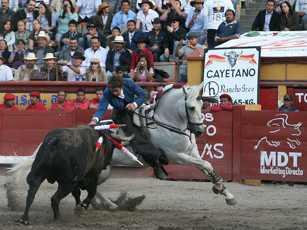 Volviendo al toro