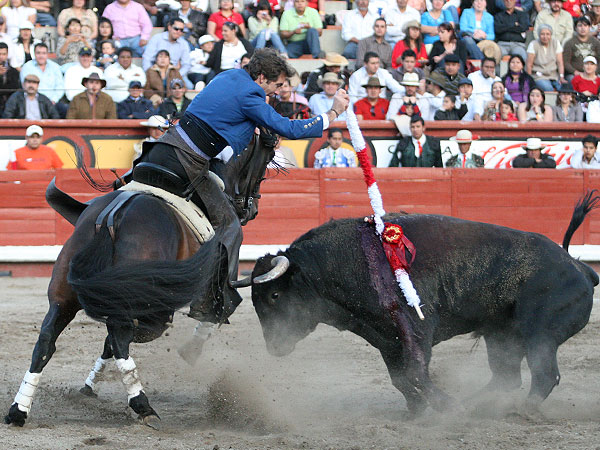 Dejando la banderilla