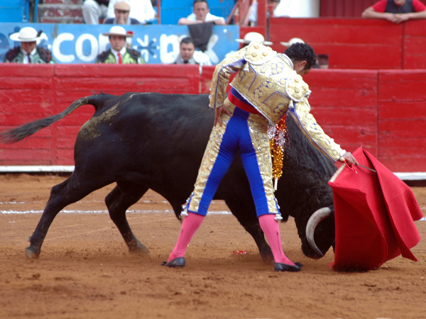 Buen derechazo (T.A)