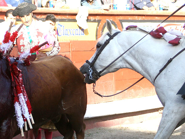 Pirata mordiendo al toro