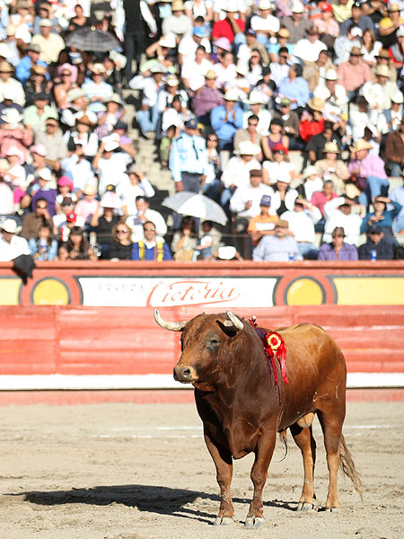 Un encierro con presencia