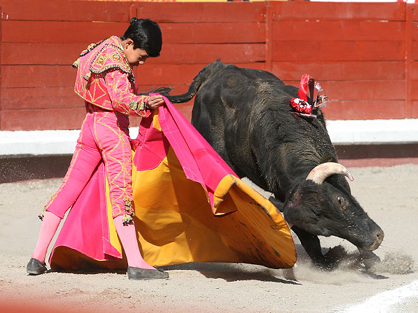 El ni�o Sebasti�n Palomo