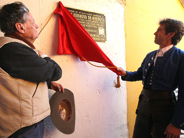 Develaci�n de la placa