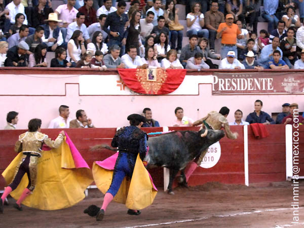 Probable fractura en tobillo