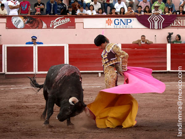 Abrochando el saludo