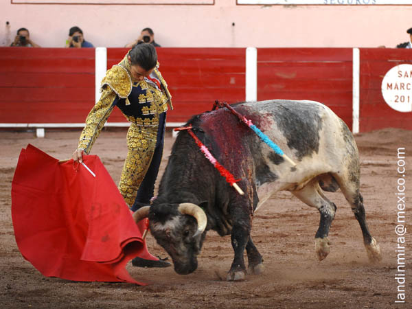 Disfrutando la faena