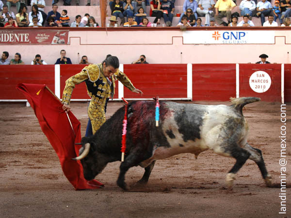 Variedad en los pases