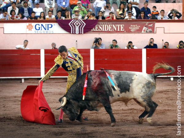 Templando la nobleza