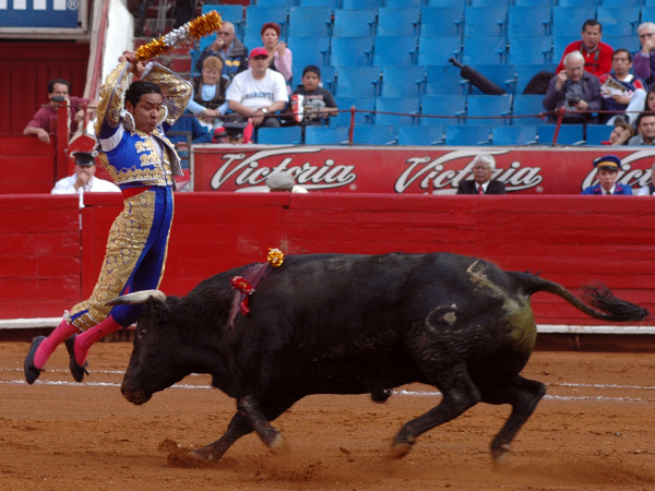 Espectacular par  (T.A)