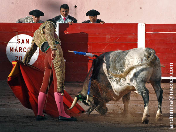Calidad en la embestida