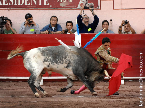 Frente a los fot�grafos