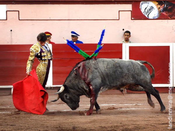 Pies clavados en la arena