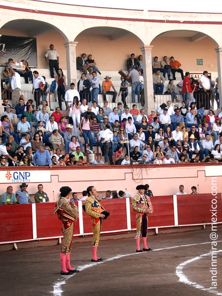 Cuarta novillada de temporada