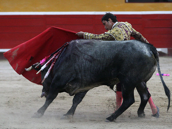 Pas�ndose todo el toro