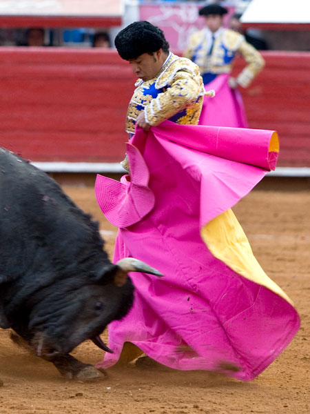 Chicuelina de Angelino (S.H)