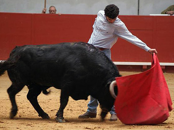 Concierto al natural