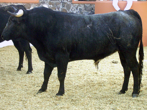 No. 4, con 410 kilos