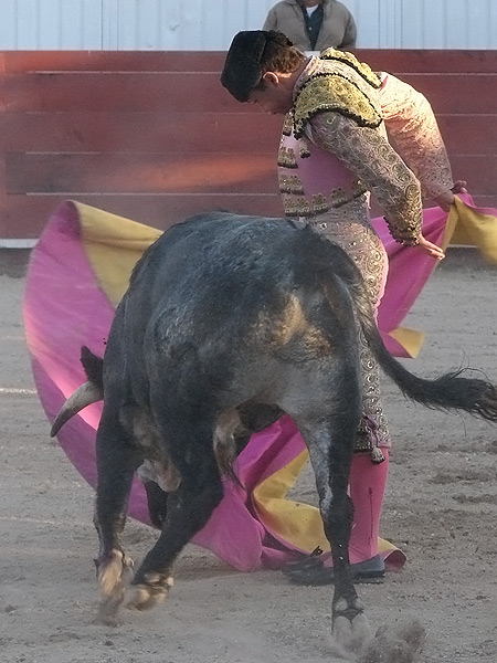 Revolera del hidroc�lido