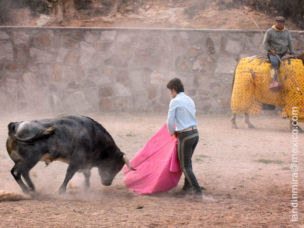 Llev�ndolo al caballo