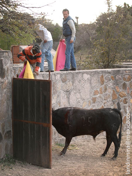 Bravura recompensada