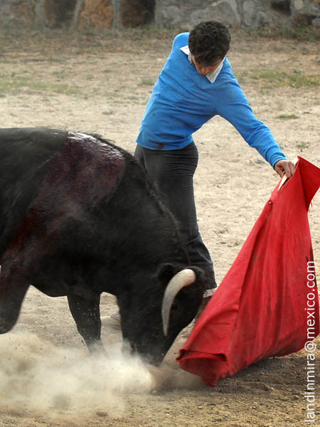 Calidad en la embestida