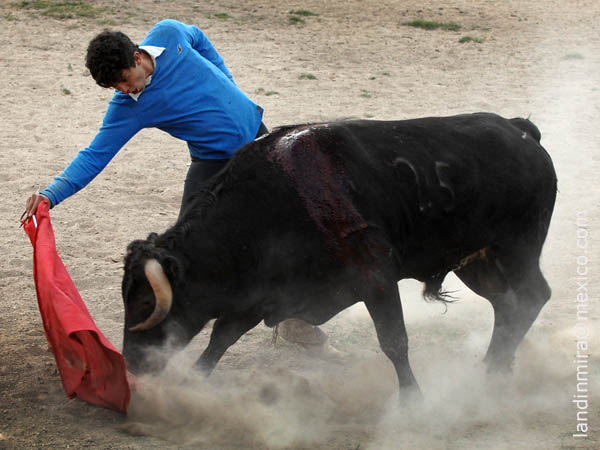 BUen pit�n derecho