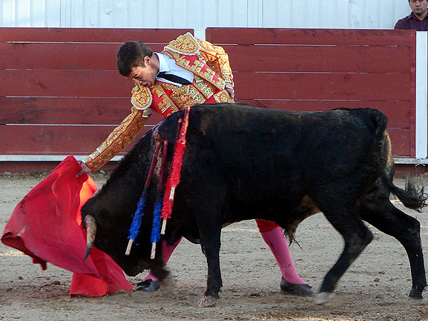 Alargando la embestida