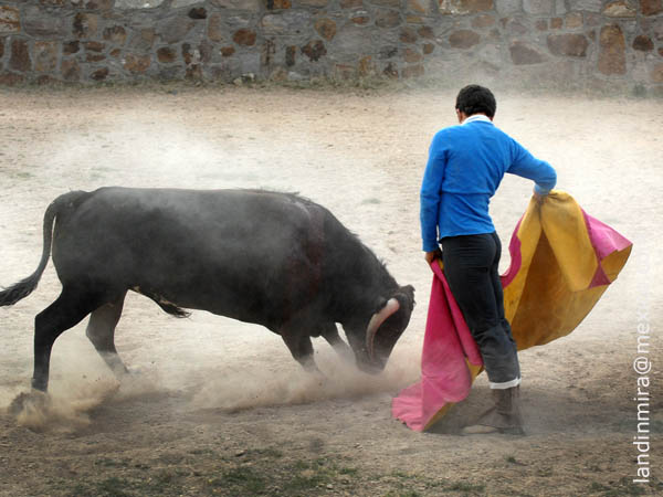 Mostr� nobleza de inicio