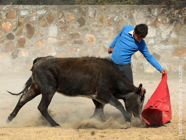 A mil�metros de la tela